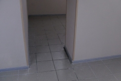 DIGITAL CAMERA