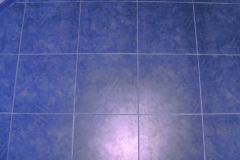 DIGITAL CAMERA