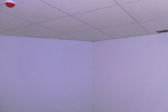 DIGITAL CAMERA